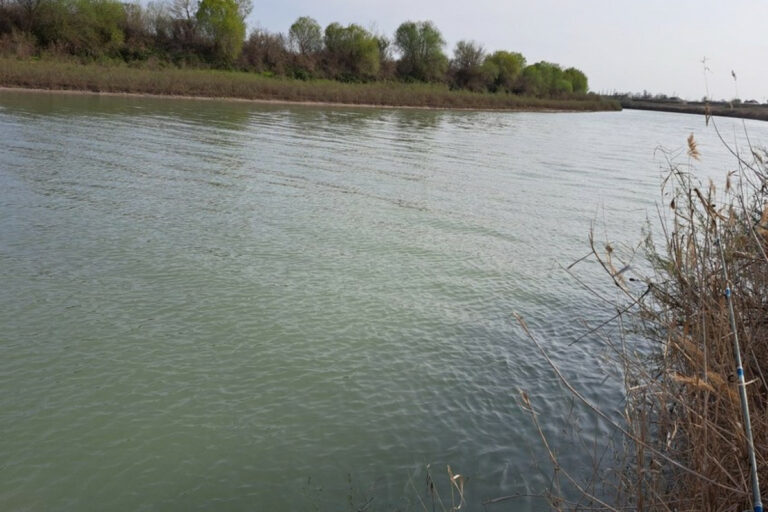 kur cayi