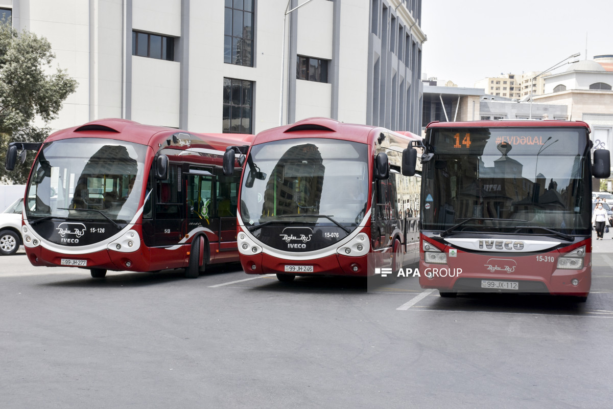 avtobus