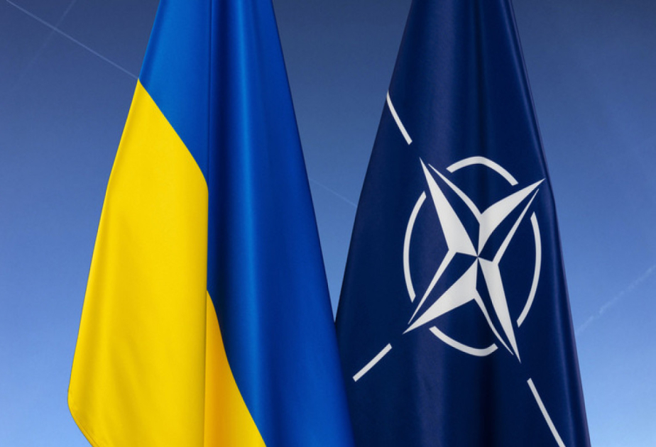 ukr nato