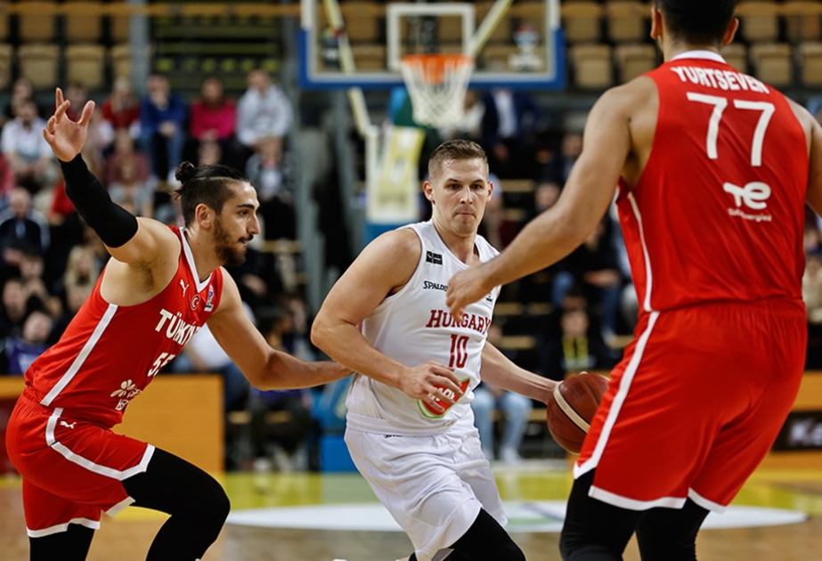 basketbol turk