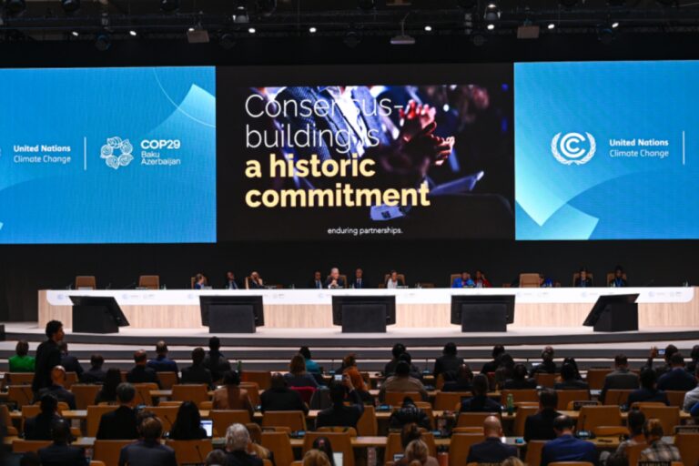 cop29 yekun