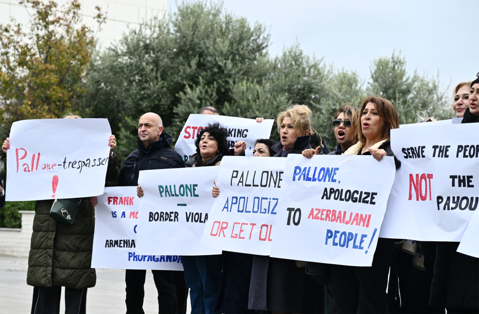 pellone