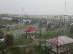 hava qarli