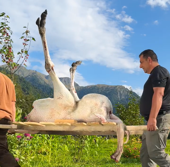 Dünyada məşhur olan azərbaycanlı aşpaz