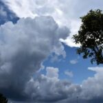 hava proqnozu haqqında