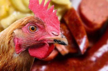 Kolbasada ət əvəzinə toyuq başı istifadə