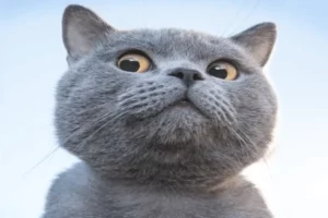 67927fa3b457567927fa3b4576173765417967927fa3b457367927fa3b4574