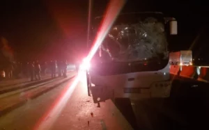avtobus