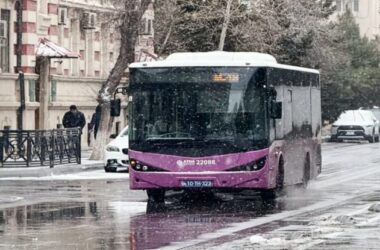 Avtobus