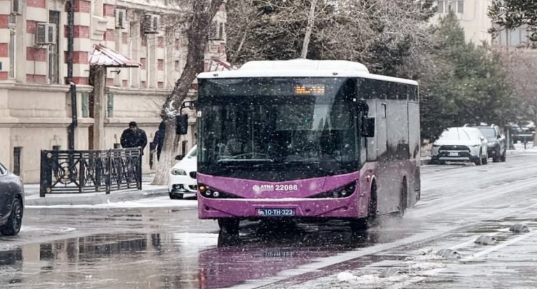 Avtobus
