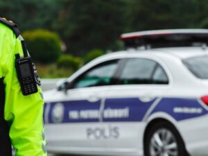 Yol polisi