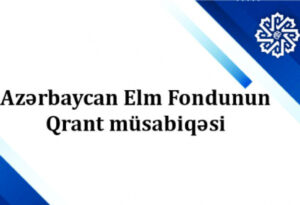 elm fondu