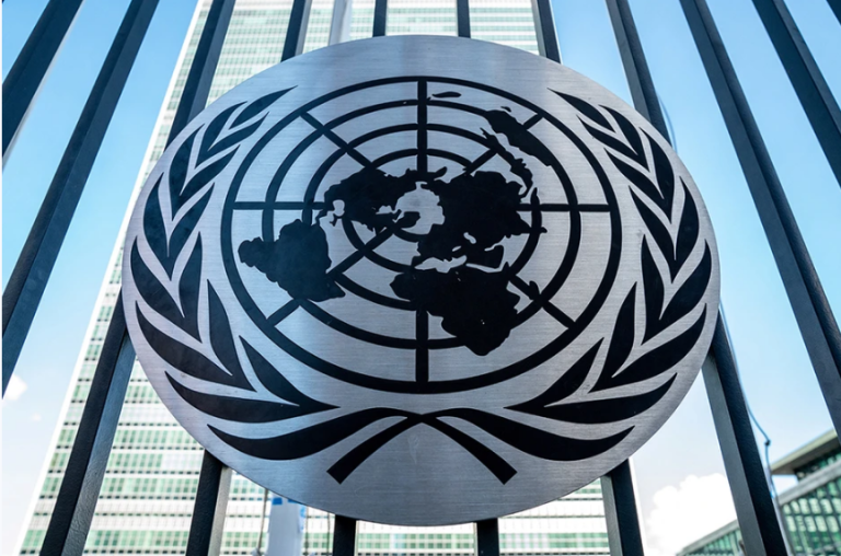 BMT İnsan Haqları
