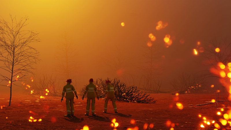 Meşə yanğınları