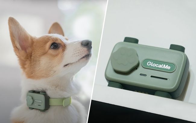 PetPhone