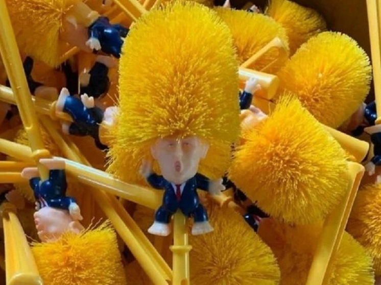 Tualet fırçası