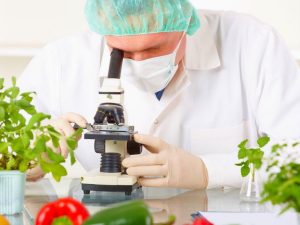 Qida təhlükəsizliyi