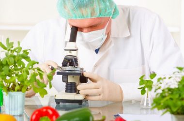 Qida təhlükəsizliyi