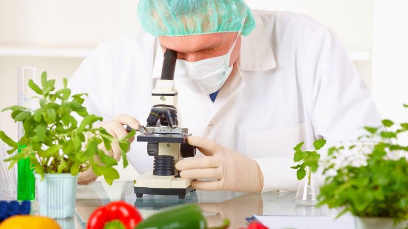 Qida təhlükəsizliyi