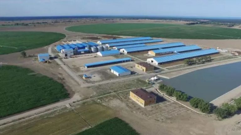 Xaçmaz Aqropark
