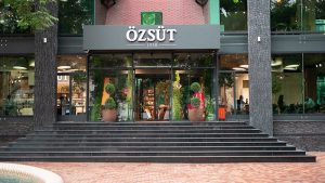Özsüt