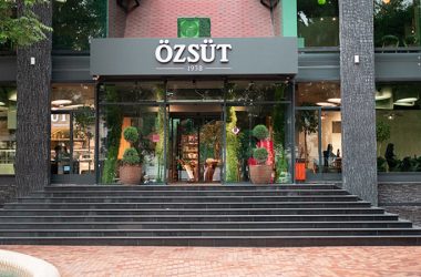 Özsüt