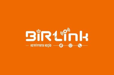 Birlink