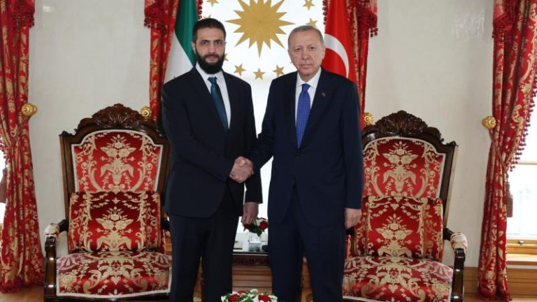 erdogan-sara-2363600_1