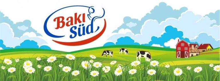 Bakı Süd Co
