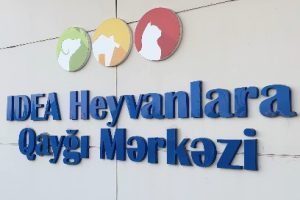 idea heyvan