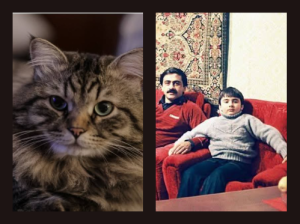 ilqar mesi