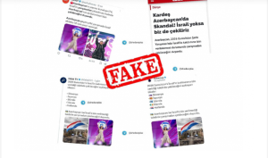 media dezo1