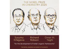 nobel kimya