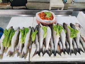 IMG-20251110-WA0159