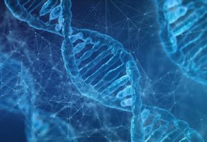 dnt