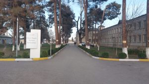 imisli xestexan