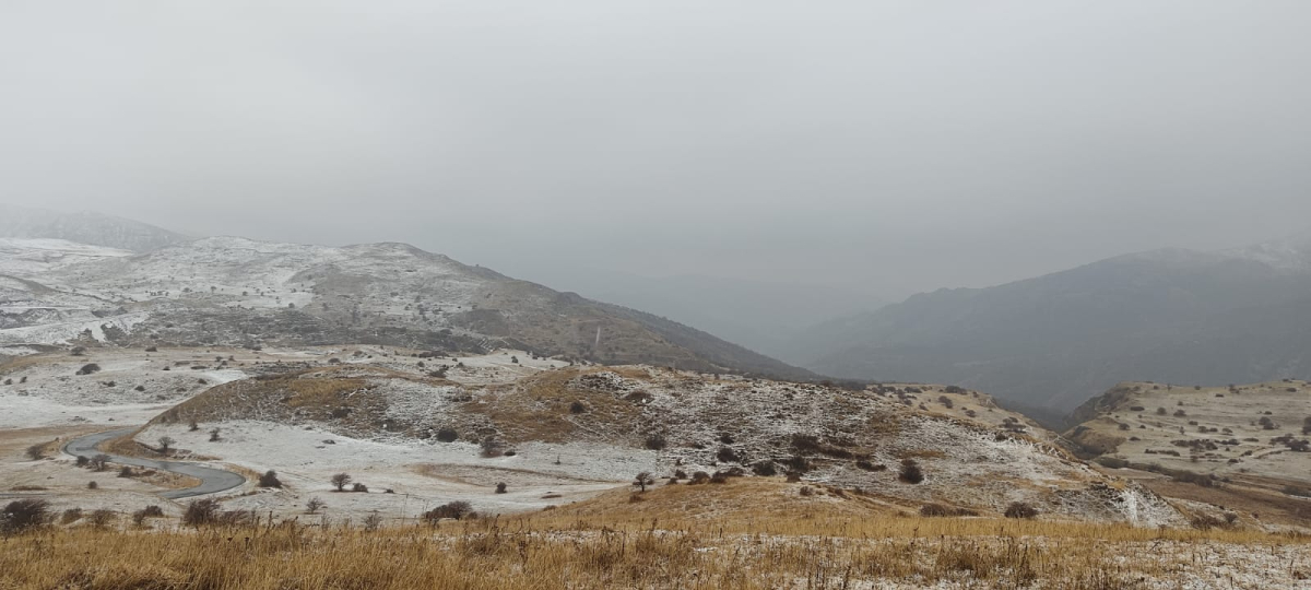 naxcivan qar