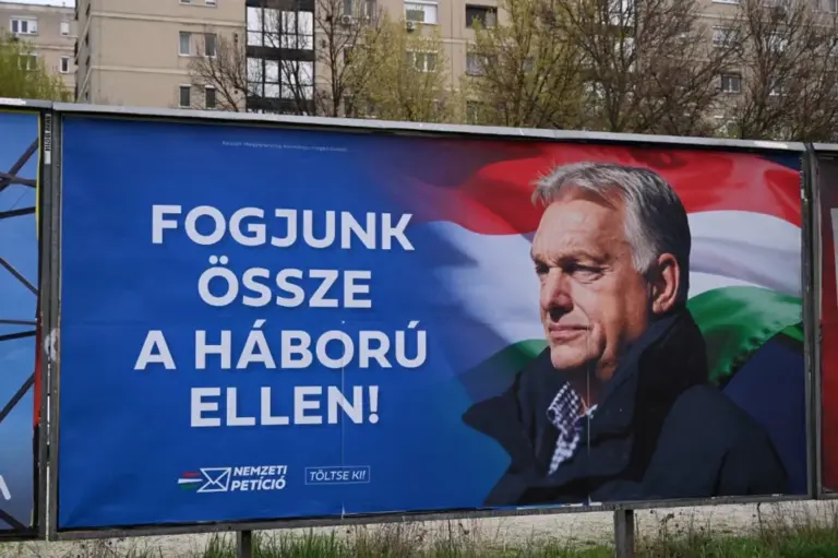macar secki
