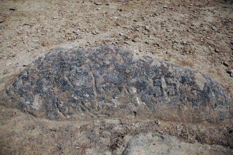 qoustan araba02