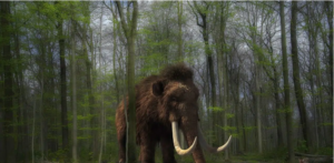 mamont