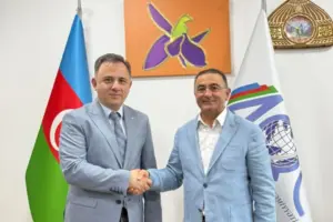 vuqar nazim