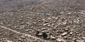 qebirtanliq vadi salam