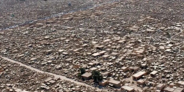 qebirtanliq vadi salam