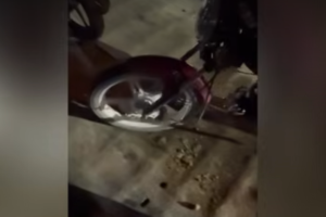 MOTOXULİQANLIQ