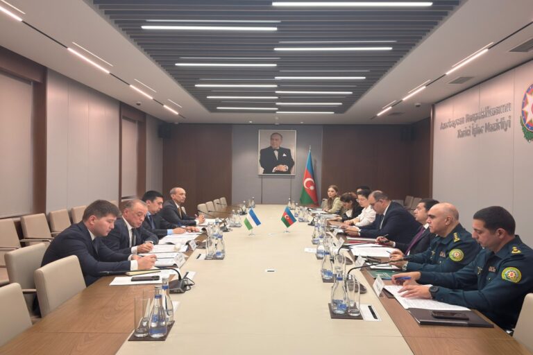 XİN