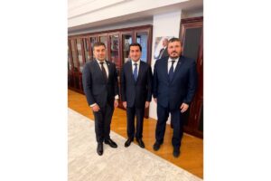 hikmet ombudsm