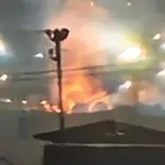 rus zavod zerbe