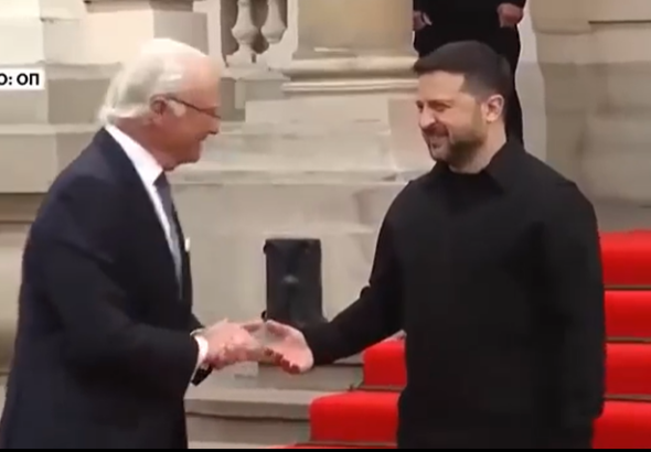 zelenski kral